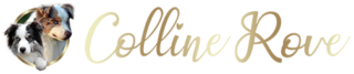 Logo Colline Rove